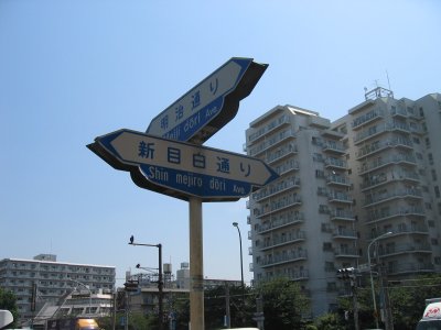 新目白通りを過ぎる。